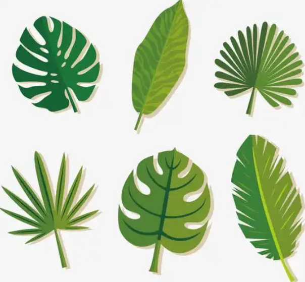 最好用的智能ai矢量圖制作軟件推薦